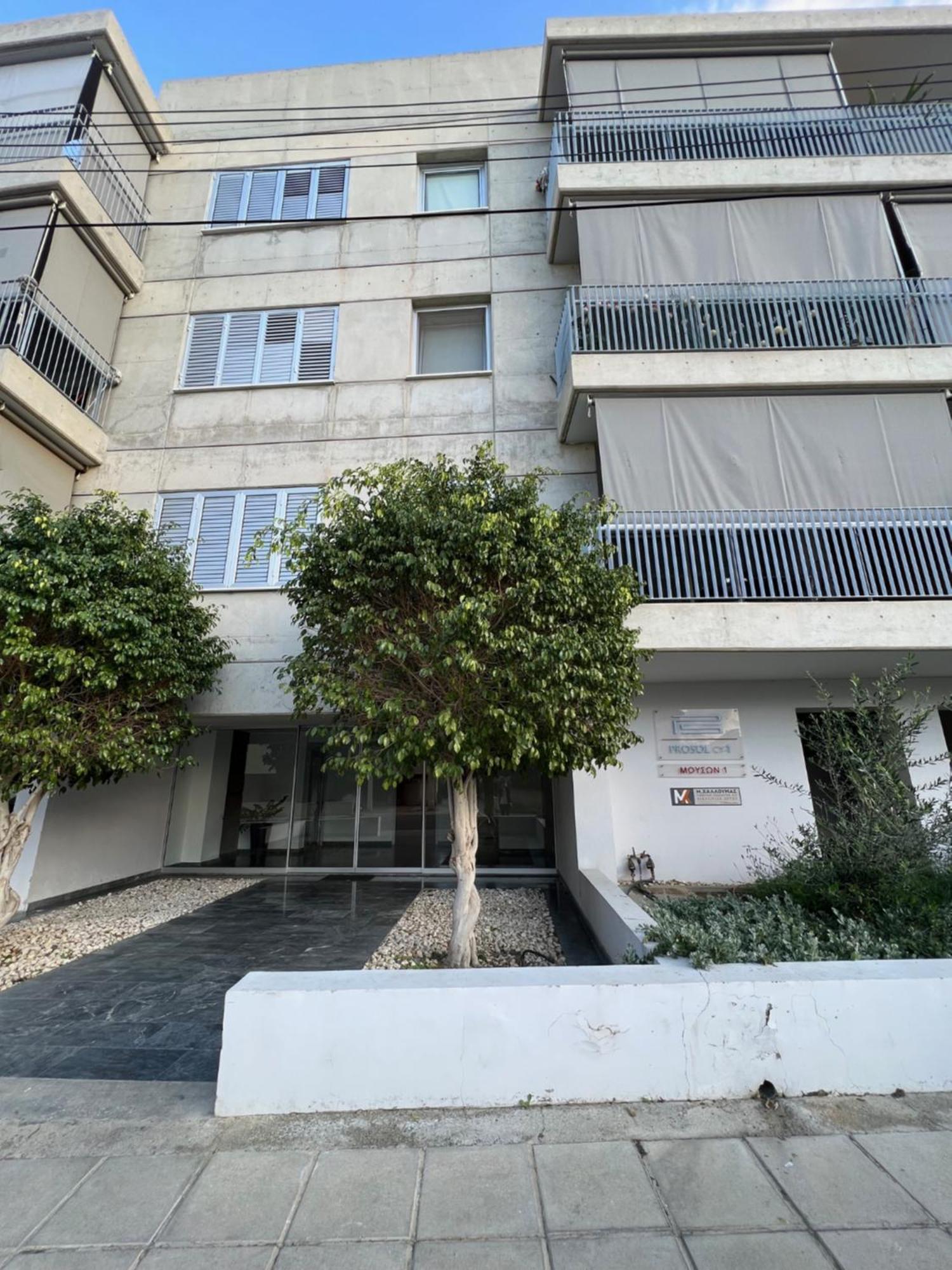 Daniela'S Modern Apartment Strovolos エクステリア 写真